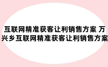 互联网精准获客让利销售方案 万兴乡互联网精准获客让利销售方案怎么写